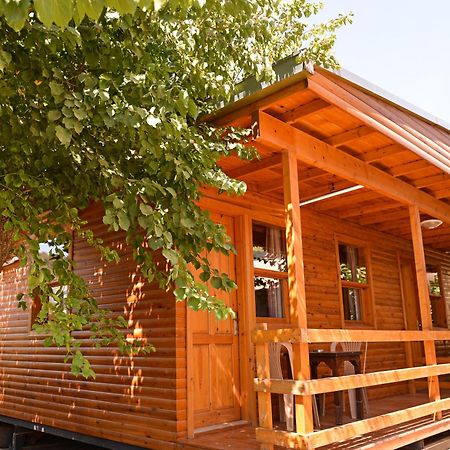 Tolay Hotel Олудениз Экстерьер фото